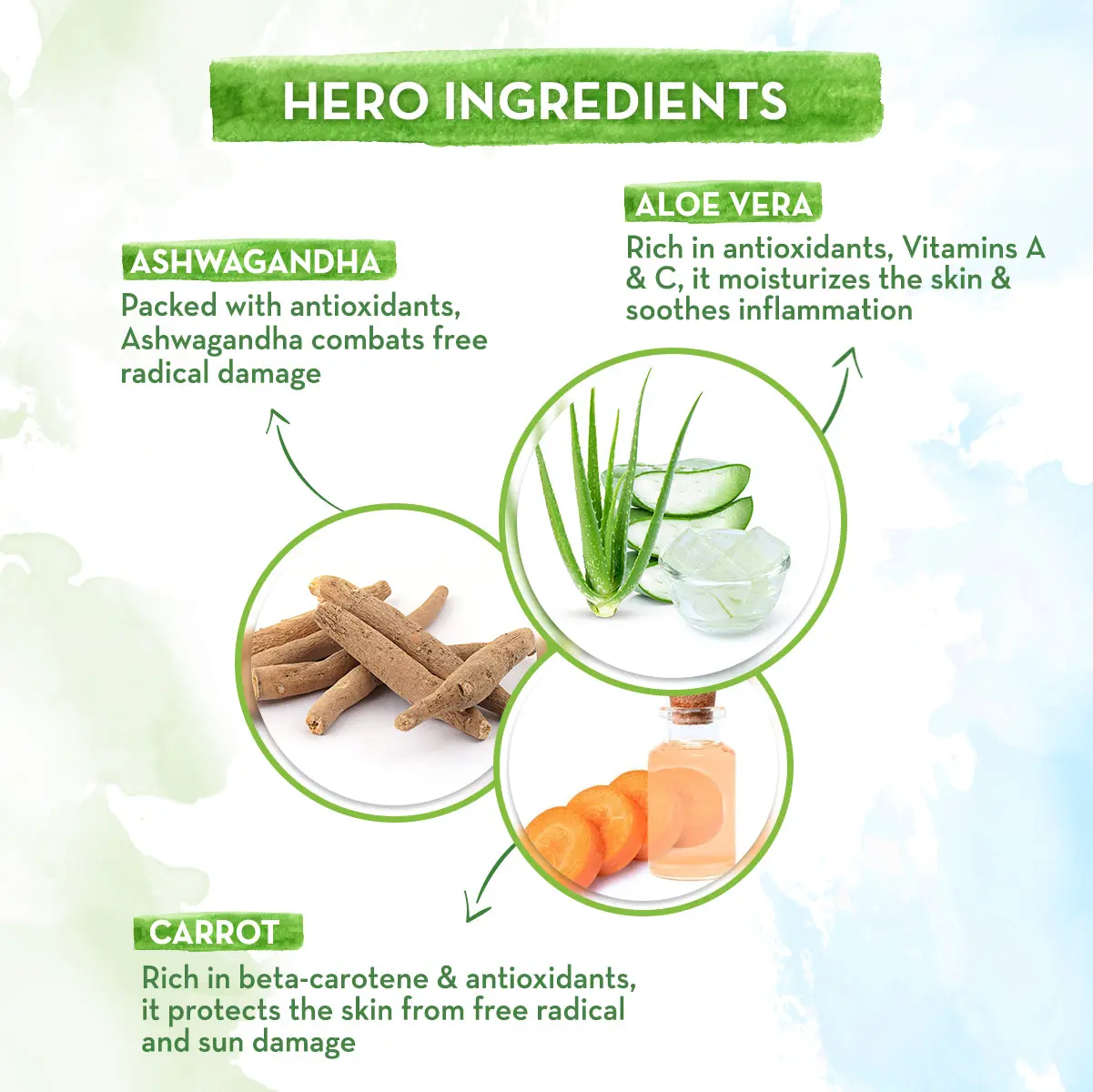 Aloe Vera Sunscreen Body Lotion - Image 3