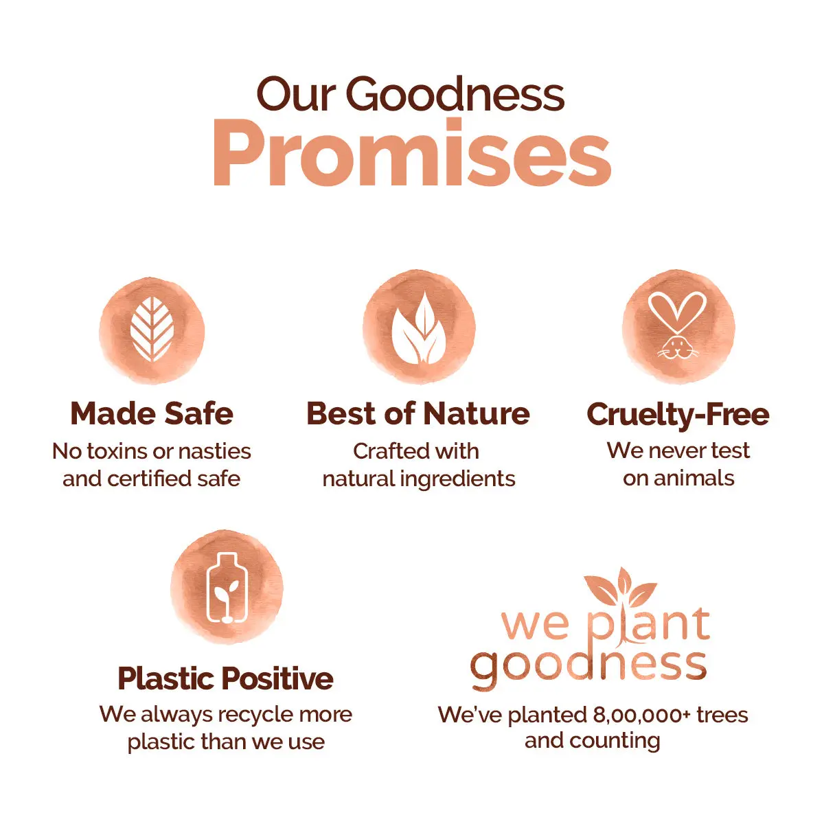 Chia Oil-Free Moisturizer - Image 10