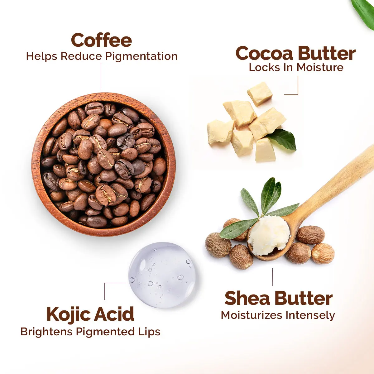 Cocoa Moisture Therapy Lip Balm - Image 4