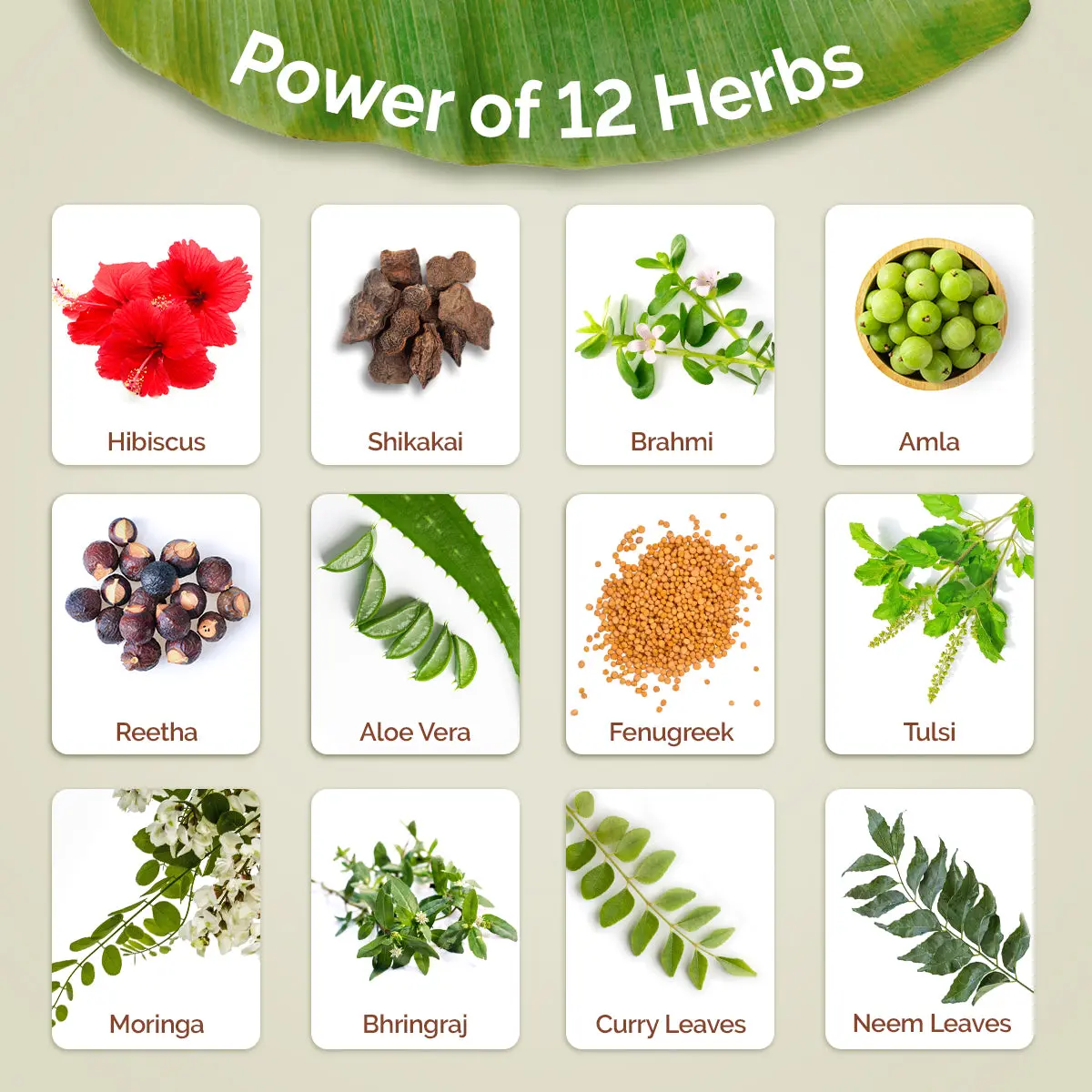 Kerala Thaali Hair Oil - Image 3