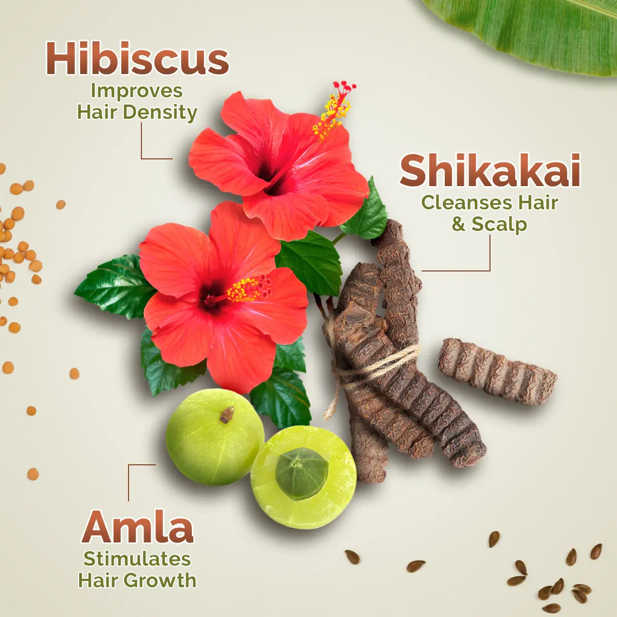 Kerala Thaali Shampoo - Image 5
