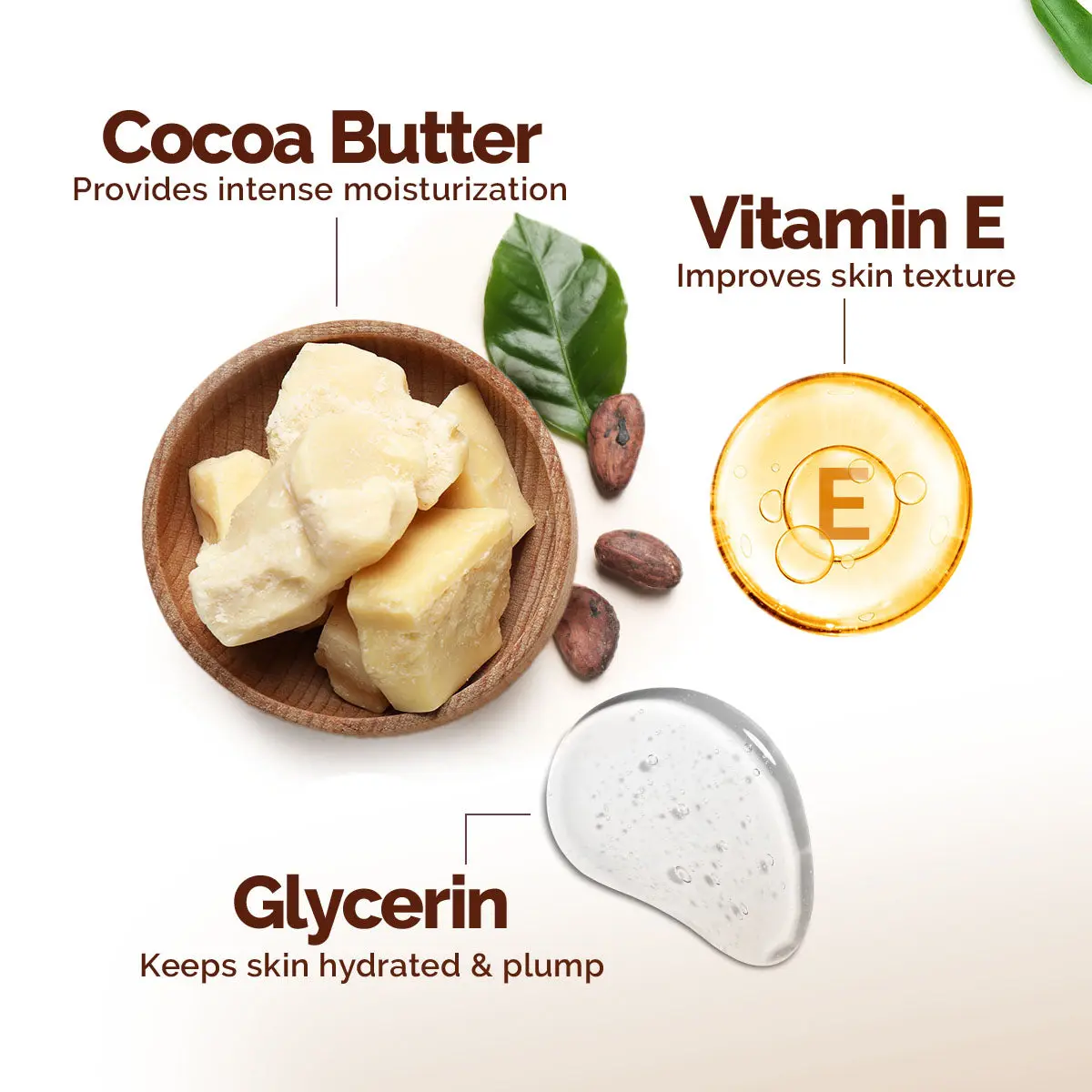 Mamaearth Cocoa Rich Moisturizing Body Lotion 400 ml - Image 4