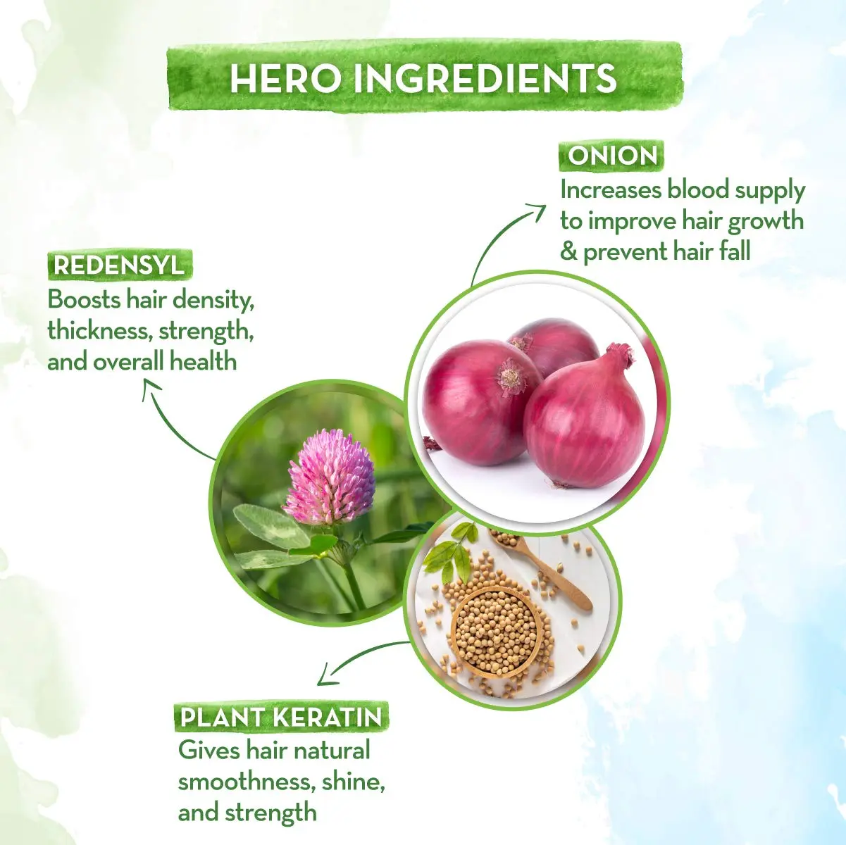 Onion Hair Care Cambo – Shampoo 250ml & Oil 100ml - Image 3