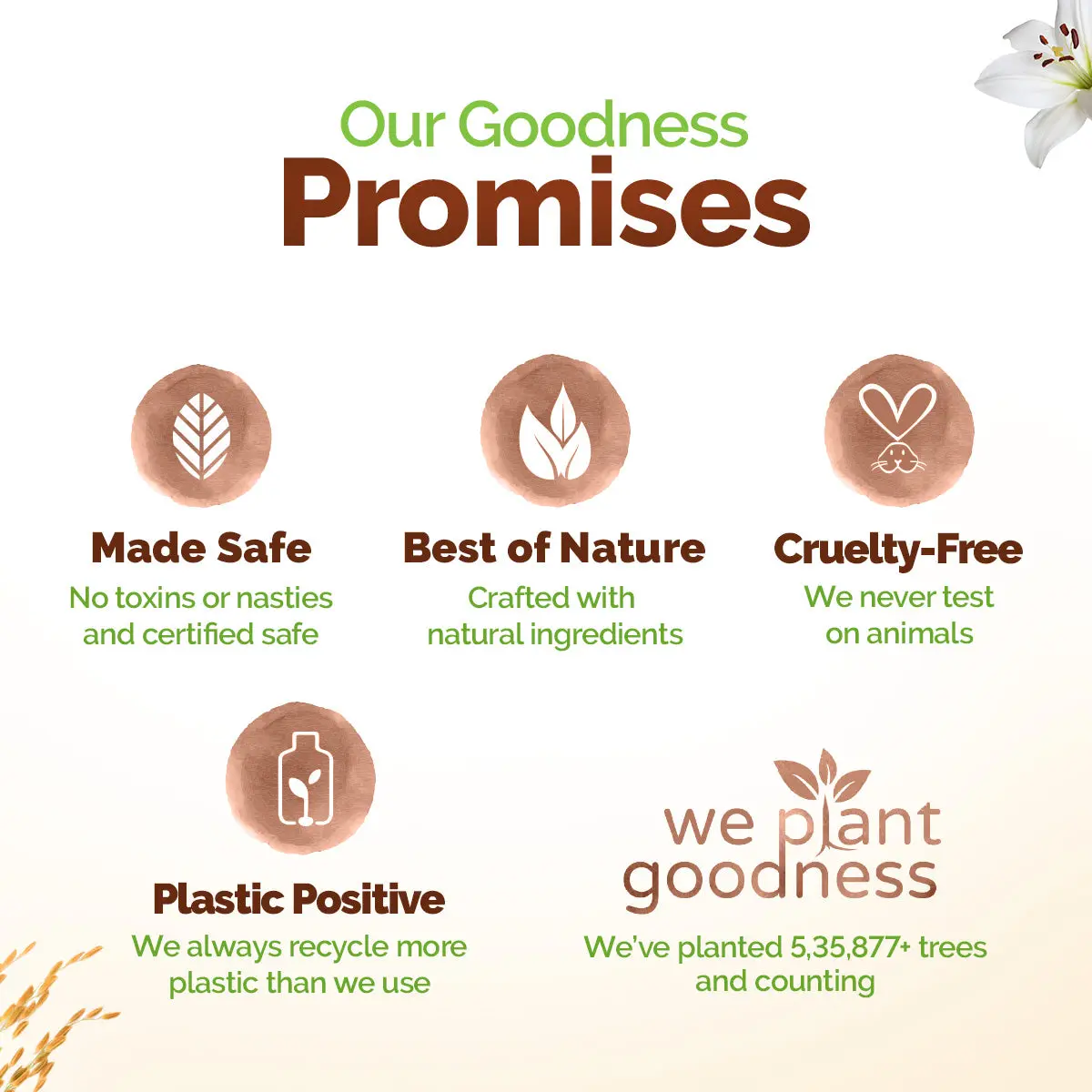Rice Water Moisturizing Body Wash - Image 8