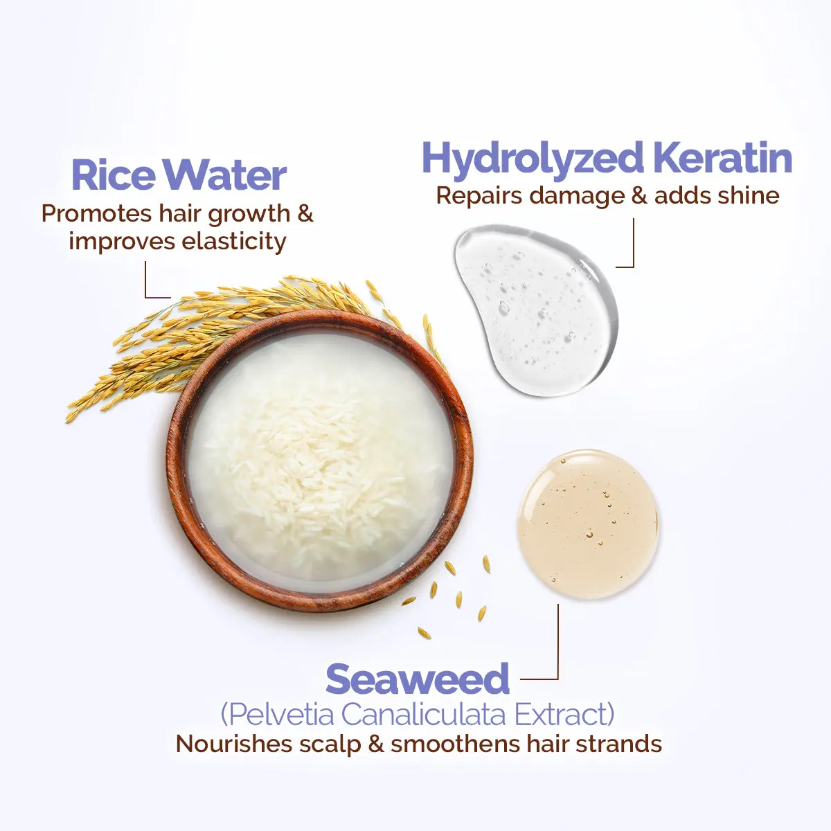 Rice Water Strengthening Shampoo - Image 3