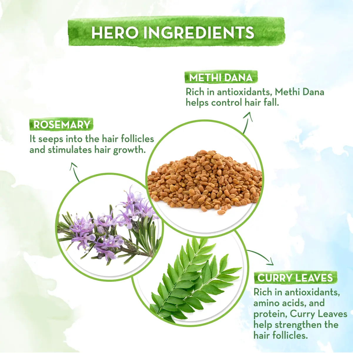 Mamaearth Rosemary Oil For Hair Growth - Image 13